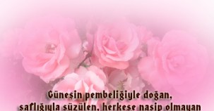 En Güzel Kandil Gecesi Resimli Kutlama Mesajları Ve Yazıları