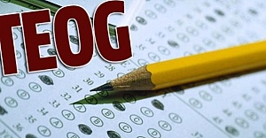2015 yılı TEOG Sonuçları