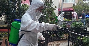 Cihangir sokaklarını Tırtıllar bastı 10 kişiden 8'i alerji oldu