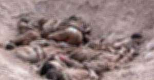 Musul'daki toplu mezarda 150 Işid militanı çıktı !