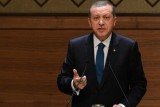 tayyip